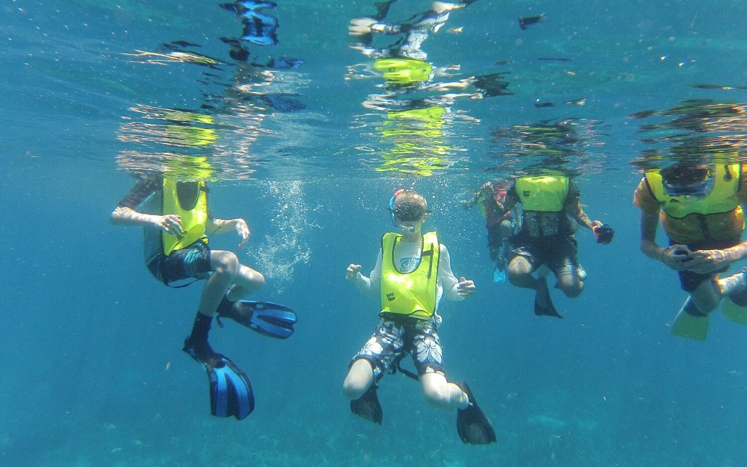 Kids swimming and snorkeling on an FFA field trip.